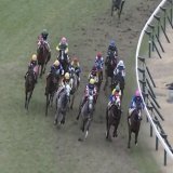 \u25a0日経新春杯  1着ヴェルトライゼンデ(斤量59kg) 内で溜めてロス無く直線は馬場の良いところ。直線逆手前。  3着プラダリア(斤量56kg) コーナー通過5-5-8-10。 先行\u25b6\ufe0f︎向正面位置下げ\u25b6\ufe0f︎コーナー外6のロス有り。直線逆手前。  斤量と距離ロスを相殺して2頭が強いという回顧になりました