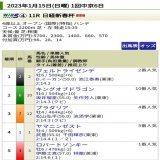 #日経新春杯(GII) レース結果 着順 配当 睡眠障害でしっかり書き込めません&hellip;