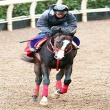 【 #サウジカップデー 】京王杯2歳Ｓ2着馬フロムダスクがサウジダービーの招待を受諾　  #競馬 #keiba #スポーツ報知