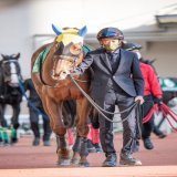 #チャレンジカップ  #ルビーカサブランカ