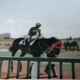 皇紀2683年月日 ホッカイドウ競馬 齊藤正弘調教師の騎手時代 門別競馬場のパドックで パチり #ホッカイドウ競馬 #齊藤正弘調教師 #弥生賞