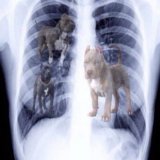 Post-match x-ray of Frances Tiafoe: