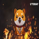 One quadrillion Baby Doge Coin (BabyDoge) burned in single massive transaction #BabyDoge #BabyDogeArmy @BabyDogeCoin #BabyDogeCoin
