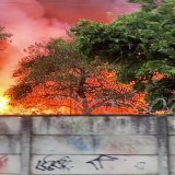 Imagens mais pr&oacute;ximas do inc&ecirc;ndio no projac