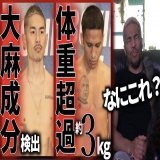 テトラヒドロ「カンナビノール」  を、盛大に間違えて  テトラヒドロ「カンナノビール」  って言ってしまってますが  観てください  カンナのビール ってなんやねん  #井岡一翔 #大麻 #体重超過 #ジョシュアフランコ