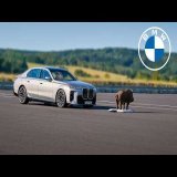 BMW Safety Features DEMONSTRATION