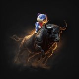 Who will #HODL $VINU in bull season   #crypto #Bitcoin #BSCGems #altcoin #BullRun