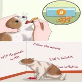 Take the orange #bitcoin pill.