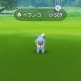 レイドからイワンコの色違い2匹目ゲット 今後ルガルガン&ldquo;たそがれのすがた&rdquo;が実装されることを見据えて色違いあともう1匹は欲しい  #ポケモンGO  #ポケモンGO色違い  #色違い  #色違いポケモン  #イワンコ