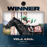 WHAT A FINISH!   Vela Azul surges to victory in the 2022 #JapanCup!!   A masterful ride from jockey Ryan Moore, who wins his 2nd Japan Cup, having won it in 2013 with Gentildonna   #ヴェラアズール #ジャパンカップ