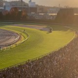 Tokyo salutes a new Champion    What a scene as Ryan Moore returns VELA AZUL in front of the grandstand   #JapanCup #ヴェラアズール #ジャパンカップ
