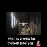 house of the dragon quotes | #status #shorts #houseofthedragon #gameofth...  via @YouTube #菊花賞 #菊花賞2022 #モンスト #INDvPAK #BETHESUNinSG ##BeMyCutiePieInTOKYO #KhelHaiMittiKa #HouseOfTheDragon #houseofthedragonepisode10 #APWomenCommissionExposed