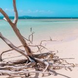 Natural pool \ud83d\udca6...#pacificocean #pacific #southpacific #southpacificislands #newcaledonia #noumea #noum&eacute;a #noumeanewcaledonia #noumealife #newcaledoniatourism #newcaledonia\ud83c\uddf3\ud83c\udde8 #newcaledonialife #worldcruise2023 #