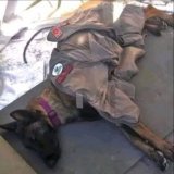 He slept after 56 hours of non-stop search and found 40 people alive under the rubble. This is the Tunisian hero Husky  We pray for the people of Turkey and Syria   for the victims, the injured, and all those affected by the devastating earthquake..
