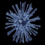Potentially fatal Candida auris fungus spreading in US hospitals: CDC