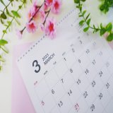 《3月1日》花粉「極めて多い」予想 昨日はここ数年で最も多くスギ花粉が飛散！ 今日も大量飛散の可能性あり！しっかり対策！ 3月もよろしくです&darr;  埼玉大学と共同で観測【花粉飛散情報】 #花粉症　#花粉　#今日ひどい