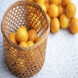 おはようございます！  《2月23日》花粉「多い\u25cb\u25cb」予想 関東は日差しのぬくもりを感じられそう  花粉が多く飛ぶ可能性あり きんかん、かわいいですね&darr;  埼玉大学と共同で観測【花粉飛散情報】 #花粉症　#花粉　#今日ひどい