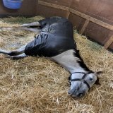 よく寝るな君は