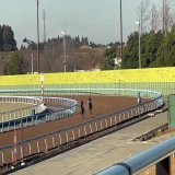 リフレイム 最終追い切り 6F84.4-67.4-52.4-37.9-11.8  本日は半マイルまで我慢させたので前半はその分力みましたが、それ以降はスムーズに加速してリズム良く走れた 良い状態で臨めそう  ワクワクするぅ