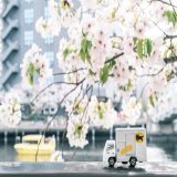 皆さま、こんにちは  昨日の #さくらの日 の投稿へメッセージをくださりありがとうございます  本日は関西から西は最高気温が20度を超えるところもあるみたいですね某湾岸エリアで発見した桜をお届けします 午後も宜しくお願いいたします  #ヤマト運輸 #クロネコヤマト #宅急便