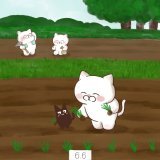 6月6日【#芒種】 二十四節気の第9。稲や麦など穂のある穀物の種を蒔く時期。芒（のぎ）とは穂先にある突起のこと。麦の刈り入れが終わり田植えのシーズンへ。