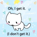 caturday : 3