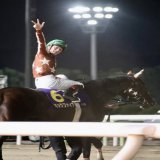ジャパンダートダービー2023 ミックファイア &times; 御神本訓史騎手  優勝おめでとうございます！！