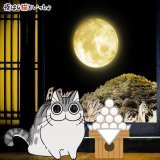 9月10日は #中秋の名月  #キュルガ もギリギリ滑り込みでお月見  みなさんもお月さま見ましたか？  #お月見 #十五夜 #夜は猫といっしょ