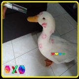 Greg the Duck has been busy with the ladies.  He's almost done.  If you're waiting for the #PLS &amp; #PLSX dip, you have to be aware that Greg could launch PulseChain when ETH is above $2,000.  People can quickly refuse to sell when they see #Bitcoi