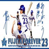 ボコボコにされました あー悔しい情けない 今日はCS確定と藤田さんの引退セレモニーがある大事な日だったのに残念です 藤田さん寂しいよー 本当に19年間ありがとうございました お疲れ様でした CS行って日本一になりましょう 三浦監督を漢にするぞ～