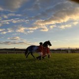 第42代ジャパンカップ馬ヴェラアズール