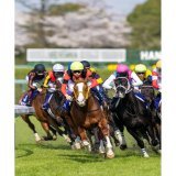 2nd,Apr.2023 Hanshin Racecourse  Osaka Hai （GⅠ） Jack d'Or &times; Yutaka Take  &ldquo;This is the legend&rdquo;  #武豊 #YutakaTake #ジャックドール #JackdOr  #クラウン日高牧場 #大阪杯 #阪神競馬場