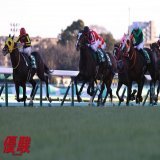 第79回 #中山金杯 はホープフルＳ３着の実績がある #ラーグルフ が７番手から差を詰め、大接戦の末、ハナ差制しました。勝ちタイムは２分０秒２(良馬場)。通算成績は10戦５勝、重賞初制覇。２着はクリノプレミアム、３着はフェーングロッテン。 #戸崎圭太 騎手は14年連続のJRA重賞勝利、通算65勝目。