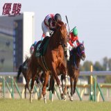 第73回 #ダイヤモンドＳ は #西村淳也 騎手騎乗の #ミクソロジー が10番手から追い込み、内めを突いたヒュミドールをクビ差抑えました。芝3400ｍの勝ちタイム３分29秒１はＪＲＡレコード。通算成績は10戦５勝、１勝クラスの特別戦から４連勝です。