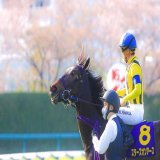 Shooting 2022.4.10  #Starsonearth #スターズオンアース #Oaks #TheOaks #JapaneseOaks #オークス