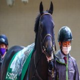 Shooting 2022.3.26  #PieceOfEight #ピースオブエイト #TheDerby #ダービー #東京優駿 #JapaneseDerby #日本ダービー