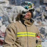He saved her from the rubble, and she will now stay by his side for the rest of his life. A picture for a rescue worker and a cat he saved after the #earthquake in #Turkey. As a fellow rescue worker, I understand the tremendous psychological impact t