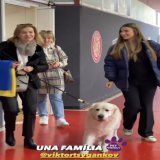 Due to Girona&rsquo;s Montilivi Stadium being pet friendly Tsyhankov&rsquo;s family brought his dog along to his official fire press conference and unveiling