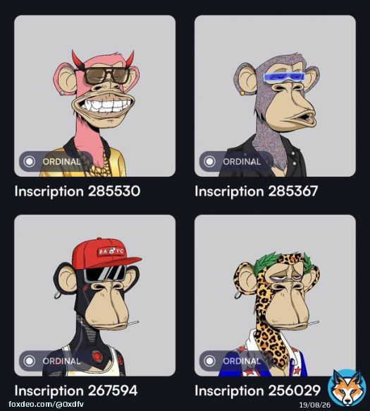 I recommend @xverseApp if you are interested in buying btc, stx, or collecting ordinals. The user interface is very clean and my experience has been smooth so far. #Bitcoin #ordinals #nfts #btc #stx #stacks #bitapes