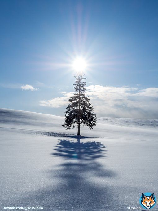 おはようございます。  今日は&hellip;&hellip;言うまでも無く クリスマスイブでございますなぁ。
