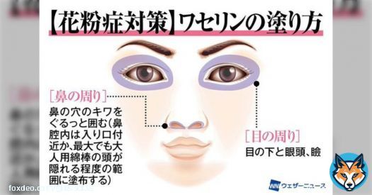 ワセリンを鼻の中に塗って花粉症対策するのは有効？危険？皮膚科医と耳鼻科医で意見が別れる結果に&rarr;どっちなんだ！  #Togetter @togetter_jpより