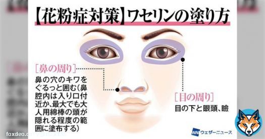 ワセリンを鼻の中に塗って花粉症対策するのは有効？危険？皮膚科医と耳鼻科医で意見が別れる結果に&rarr;どっちなんだ！  #Togetter @togetter_jpより