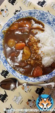 今日のお昼はお家で野菜ゴロゴロカレーにしました #カレーの日  #カレーライスの日