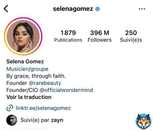 Zayn recently followed Selena Gomez on Instagram