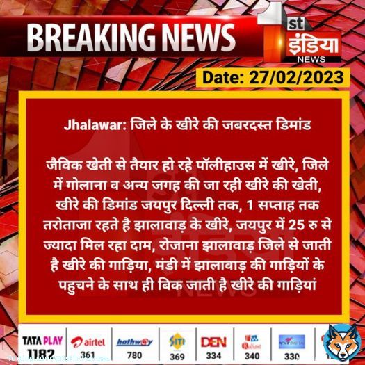 #Jhalawar: जिले के खीरे की जबरदस्त डिमांड  जैविक खेती से तैयार हो रहे पॉलीहाउस में खीरे, जिले में गोलाना व अन्य जगह की जा रही खीरे की खेती, खीरे की डिमांड जयपुर दिल्ली तक...  #RajasthanWithFirstIndia