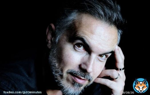 &laquo; La Constance du Pr&eacute;dateur &raquo;, roman &laquo; chattamissime &raquo; pour nos lectrices