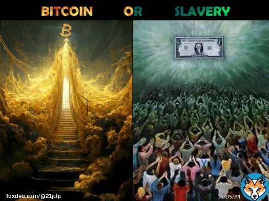 Bitcoin or Slavery  Choose Wisely
