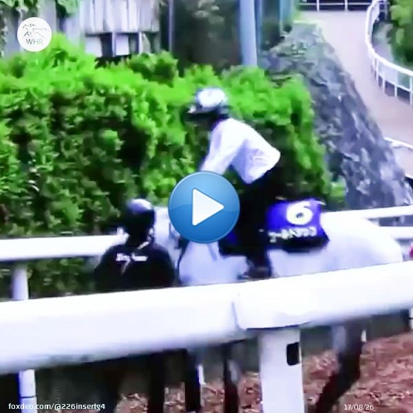 口取りが話題なので、 それでも落ちない2900勝のノリさんをお届け致します  #石川裕紀人 #横山典弘  #ジュンライトボルト #ハピ #チャンピオンズカップ #チャンピオンズC #ゴールドシップ #ウマ娘0:23253.7K views
