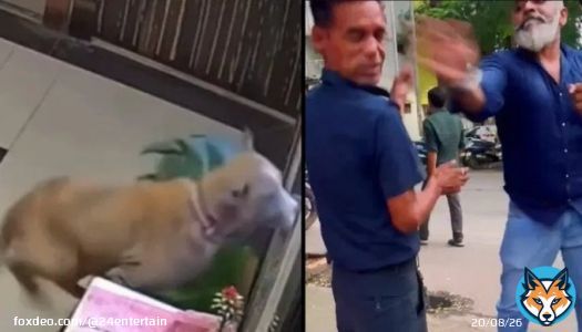 فيديو صادم.. كلب يقفز من الطابق الـ15 هرباً من اعتداء حارس أمن في الهندفيديو صادم.. كلب يقفز من الطابق الـ15 هرباً من اعتداء حارس أمن في الهندFrom 24.ae