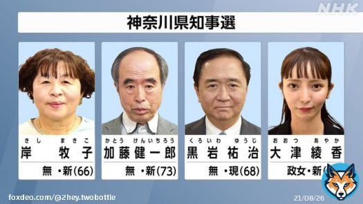 【神奈川県知事選挙】4人が立候補   \u25bc無所属の新人で、共産党が推薦する市民団体代表の岸牧子氏（66）  \u25bc無所属の新人で、医師の加藤健一郎氏（73）  \u25bc無所属の現職で、自民党、公明党、国民民主党のいずれも県組織が推薦する黒岩祐治氏（68）  \u25bc新人で、政治家女子48党の党首、大津綾香氏（30）